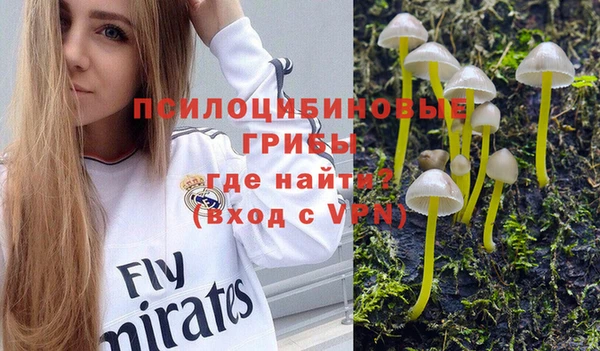 гашиш Лабытнанги