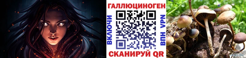 купить   Феодосия  кракен зеркало  Псилоцибиновые грибы мицелий 